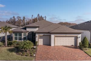 19293 SHIP WHEEL WAY, LAND O LAKES, FL 34638 Sold 02/04/25