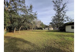 10344 INDIAN MOUND DRIVE, NEW PORT RICHEY, FL 34654 Sold 02/06/25