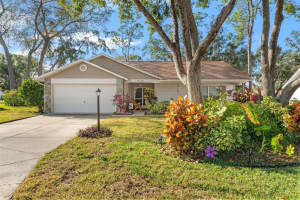 2175 PEBBLE BEAC DRIVE, SPRING HILL, FL 34606 Sold 02/28/25