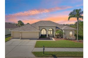 7302 MELOGOLD CIRCLE, LAND O LAKES, FL 34637 Sold 09/05/25
