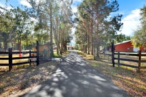 26208 PINE HILL DRIVE, BROOKSVILLE, FL 34601 Sold 02/28/25