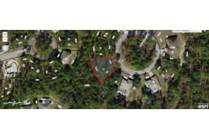 12 SANDERS COURT, HOMOSASSA, FL 34446 - MLS#MFRW7871193