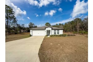 12085 PETREL AVENUE, BROOKSVILLE, FL 34614 Sold 03/28/25