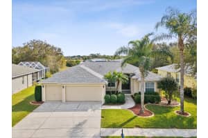 8730 TORCHWOOD DRIVE, TRINITY, FL 34655 Sold 03/24/25