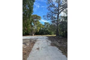 11411 SAGAMORE STREET, SPRING HILL, FL 34609 - MLS#MFRW7871238