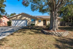 29703 69TH STREET, CLEARWATER, FL 33761 Sold 06/17/25