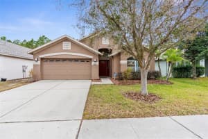 9837 RIVERCHASE DRIVE, NEW PORT RICHEY, FL 34655 Sold 04/08/25