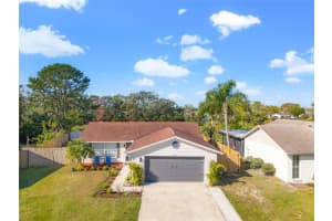 3133 COVINA ST, NEW PORT RICHEY, FL 34655 Sold 02/27/25