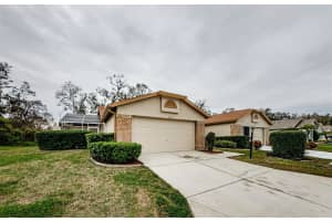 10030 BROOKDALE DRIVE, NEW PORT RICHEY, FL 34655 Sold 02/10/25