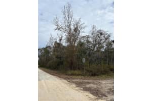 Lot 1 CAROLINA DOVE ROAD, BROOKSVILLE, FL 34614 Sold 08/08/25