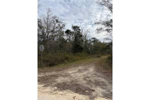 Lot 1 CAROLINA DOVE ROAD, BROOKSVILLE, FL 34614 Sold 08/08/25