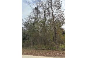 Lot 1 CAROLINA DOVE ROAD, BROOKSVILLE, FL 34614 Sold 08/08/25