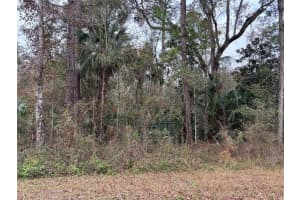 Lot 3 CAROLINA DOVE ROAD, WEEKI WACHEE, FL 34614 - MLS#MFRW7871412