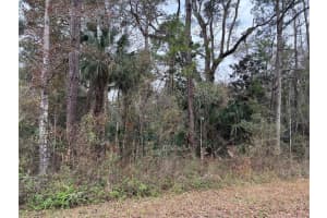 Lot 3 CAROLINA DOVE ROAD, WEEKI WACHEE, FL 34614 - MLS#MFRW7871412