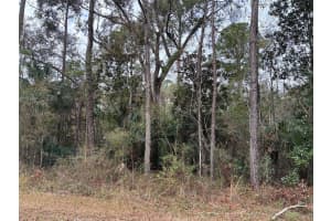 Lot 3 CAROLINA DOVE ROAD, WEEKI WACHEE, FL 34614 - MLS#MFRW7871412