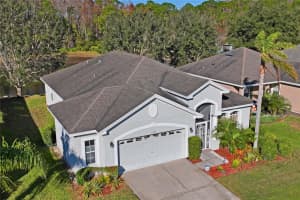 11243 MERGANSER WAY, NEW PORT RICHEY, FL 34654 Sold 06/17/25