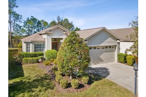 18803 ROLLING HILLS LOOP, HUDSON, FL 34667 Sold 05/01/25
