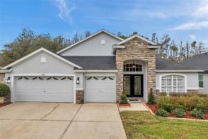 19617 ELLENDALE DRIVE, LAND O LAKES, FL 34638 Sold 03/03/25