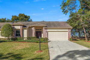 3053 APPLEBLOSSOM TRAIL, SPRING HILL, FL 34606 Sold 03/10/25