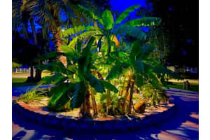 11882 BAYSHORE DRIVE, CRYSTAL RIVER, FL 34429 Sold 06/12/25