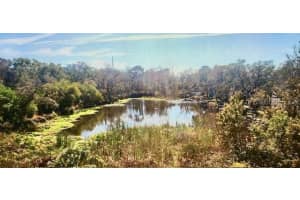 2625 STATE ROAD 590 #1233, CLEARWATER, FL 33759 Sold 02/20/25