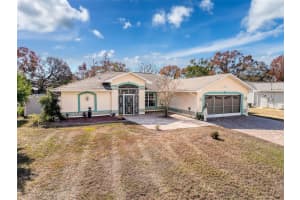 11310 PALOMAR STREET, SPRING HILL, FL 34609 Sold 04/03/25
