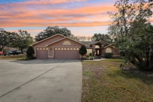 18164 WINDING OAKS BOULEVARD, HUDSON, FL 34667 Sold 04/21/25