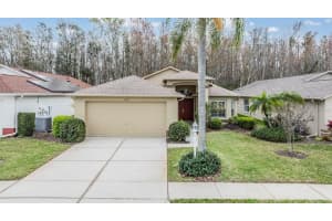1007 SWEET JASMINE DRIVE, TRINITY, FL 34655 Sold 05/05/25