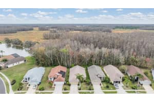 1007 SWEET JASMINE DRIVE, TRINITY, FL 34655 Sold 05/05/25