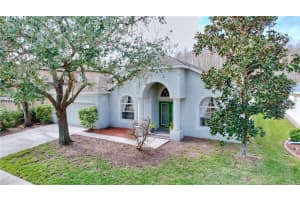 3455 BARNWEILL STREET, LAND O LAKES, FL 34638 Sold 04/01/25