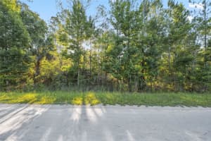 RAMSEY RD & YELLOWTHROAT AVE RD, WEEKI WACHEE, FL 34614 - MLS#MFRW7871661