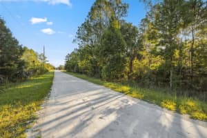 RAMSEY RD & YELLOWTHROAT AVE RD, WEEKI WACHEE, FL 34614 - MLS#MFRW7871661