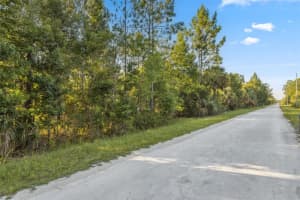 RAMSEY RD & YELLOWTHROAT AVE RD, WEEKI WACHEE, FL 34614 - MLS#MFRW7871661