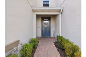 18605 NOBLE CASPIAN DRIVE, LUTZ, FL 33558 Sold 03/21/25