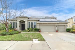 20240 RAVENS END DRIVE, TAMPA, FL 33647 Sold 02/27/25