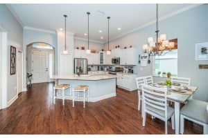 3213 GRANITE RIDGE LOOP, LAND O LAKES, FL 34638 Sold 03/21/25