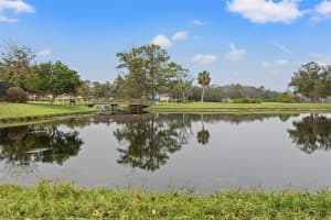 4412 LAKE IN THE WOODS DRIVE, SPRING HILL, FL 34607 - MLS#MFRW7871733