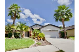 8424 BLUEVINE SKY DRIVE, LAND O LAKES, FL 34637 Sold 05/14/25