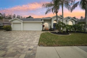 8831 BEL MEADOW WAY, TRINITY, FL 34655 Sold 05/23/25