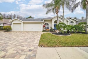 8831 BEL MEADOW WAY, TRINITY, FL 34655 Sold 05/23/25