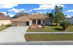 14215 Presteign Ln, SPRING HILL