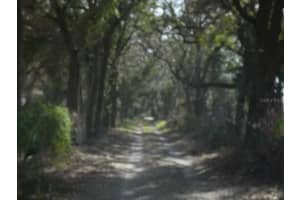 16213 CLARENCE LEE ROAD, GROVELAND, FL 34736 Sold 04/30/25