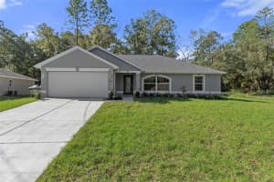 12040 PINE WARBLER AVENUE, BROOKSVILLE, FL 34614 Sold 06/23/25