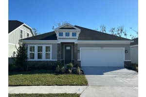 10131 ZENNIA LANE, PARRISH, FL 34219 Sold 07/26/25