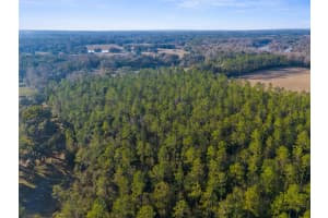 00 SPRING LAKE HIGHWAY, BROOKSVILLE, FL 34601 - MLS#MFRW7871809