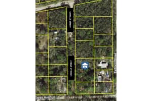 CANELLA ST, NEW PORT RICHEY, FL 34654 - MLS#MFRW7871822
