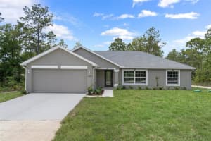 6850 PAVILION LOOP, CITRUS SPRINGS, FL 34433 Sold 07/28/25