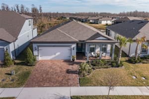 18879 SAILORS DELIGHT PASS, LAND O LAKES, FL 34638 Sold 06/16/25