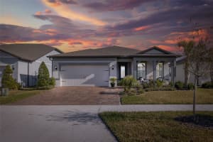 18879 SAILORS DELIGHT PASS, LAND O LAKES, FL 34638 Sold 06/16/25