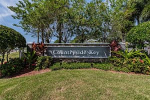 441 COUNTRYSIDE KEY BOULEVARD, OLDSMAR, FL 34677 Sold 04/09/25